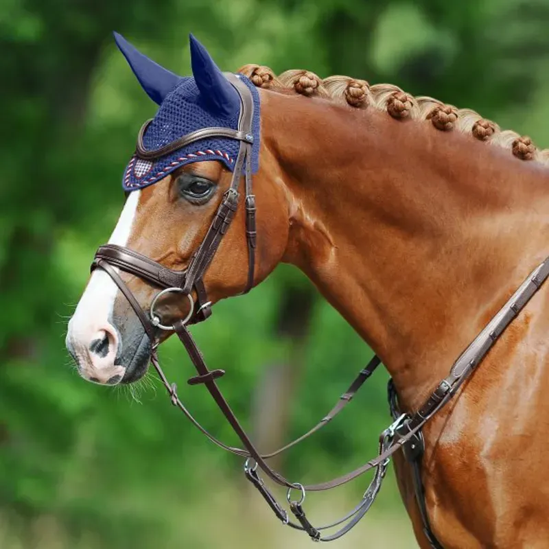 Passier Marcus Ehning Flash Bridle Full - Havana-1