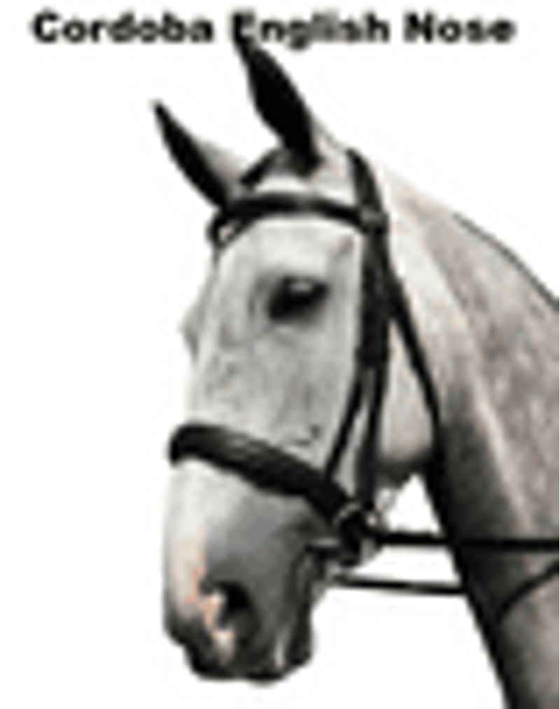 Sabre Cordoba Bridle - Brown - Cob
