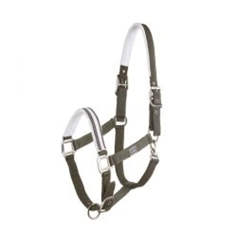 Schockemohle Sports Memphis Head Collar Cob - Olive