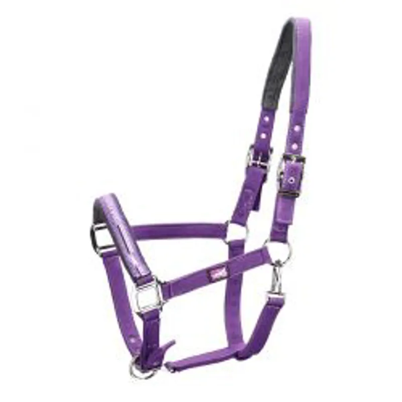 Schockemohle Sports Memphis Head Collar Cob - Plum