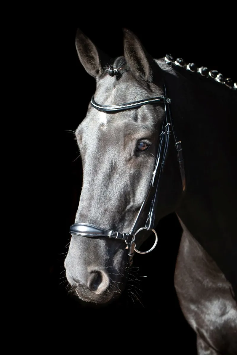 Schockemohle Sports Copenhagen Classic Line Bridle - Full - Black-2