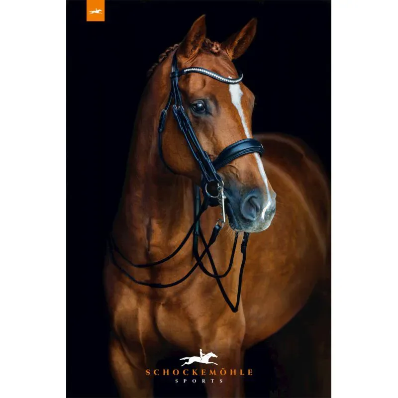 Schockemohle Venice Double Bridle Full - Black/Silver-1