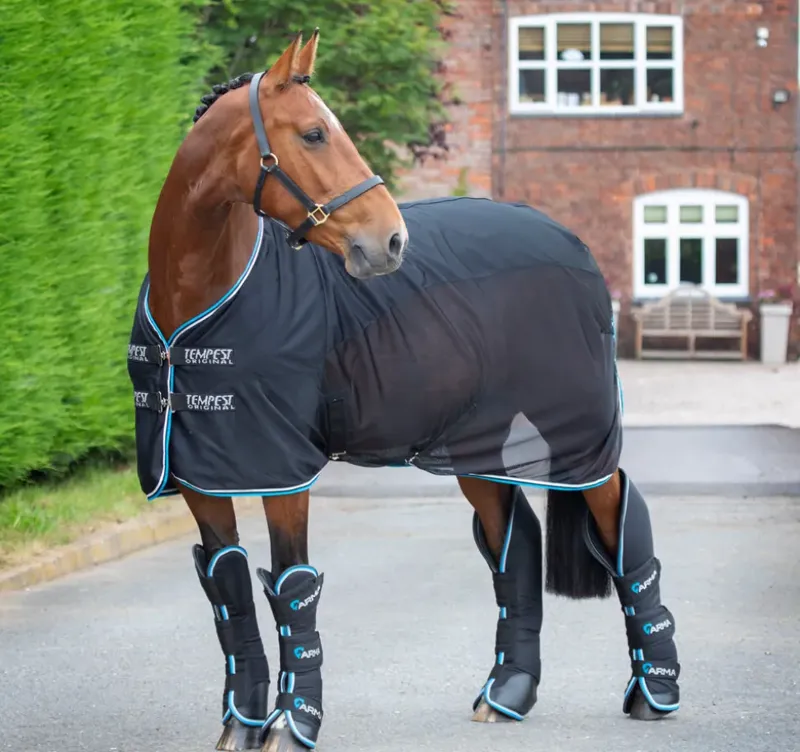 Shires Arma Air Defence Travel Boot - Black-2