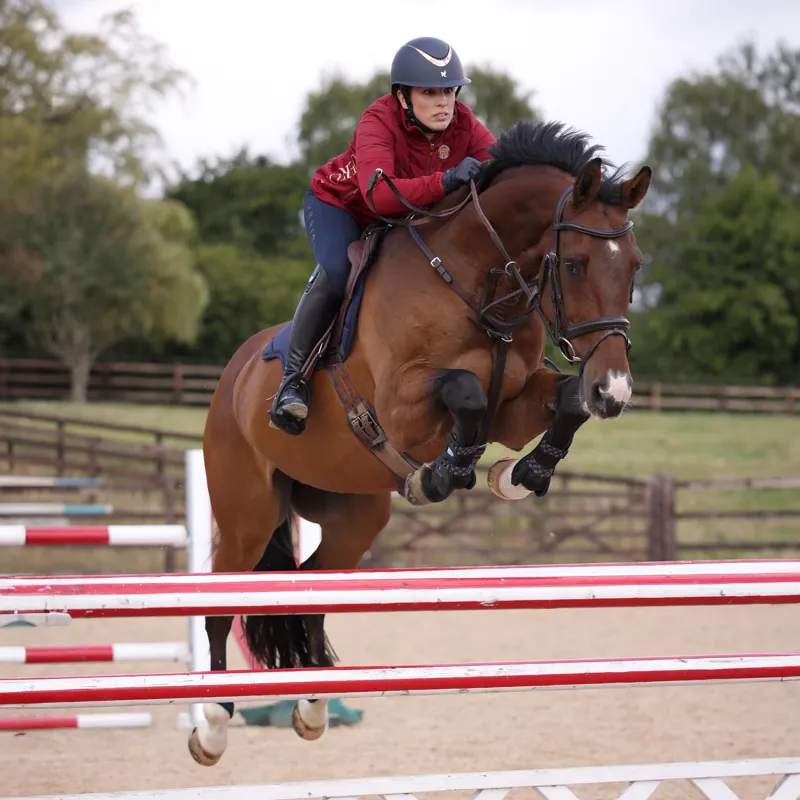 Shires ARMA Carbon Tendon Boots - Black-7