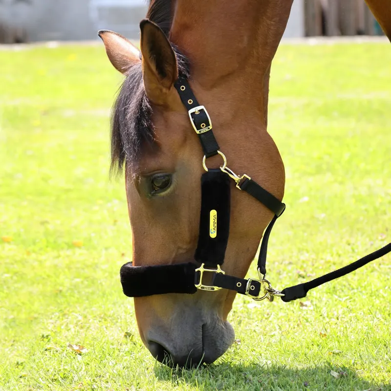 Shires Arma Faux Fur Headcollar and Lead Rope Full - Black-2