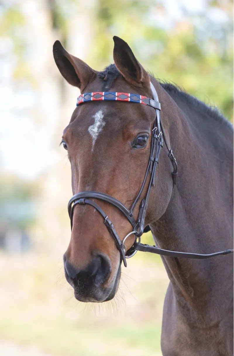 Shires Blenheim Leather Polo Browband - Red/Navy