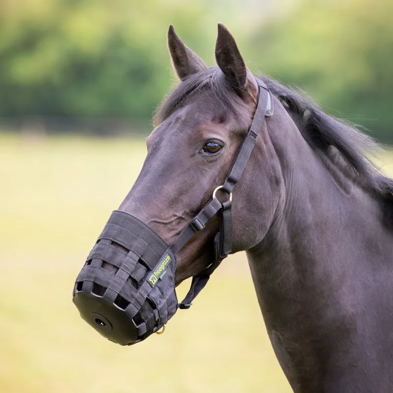 Shires Free Graze Comfort Grazing Muzzle - Black-7
