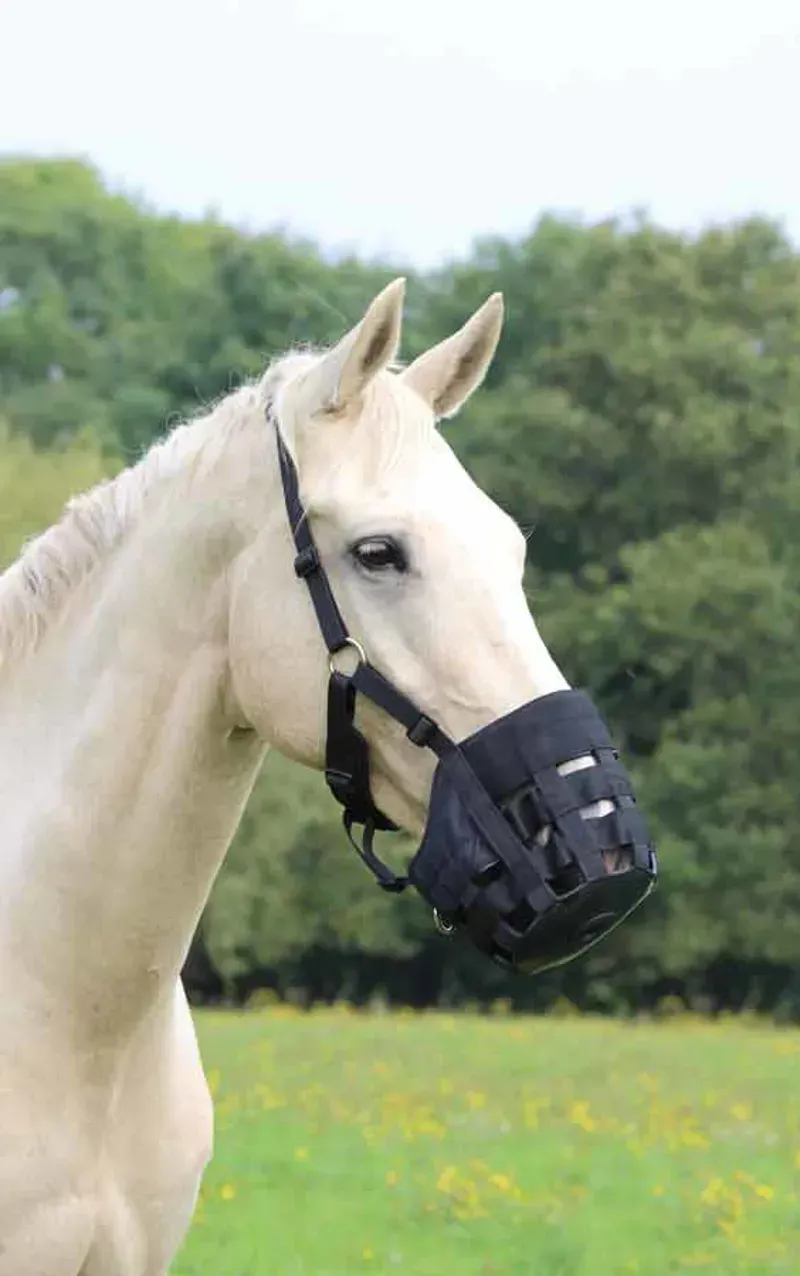Shires Free Graze Comfort Grazing Muzzle - Black-9