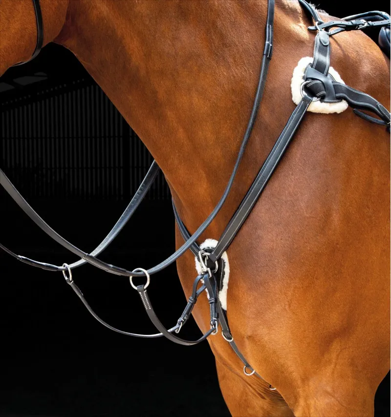 Shires Salisbury Five Point Breastplate - Black