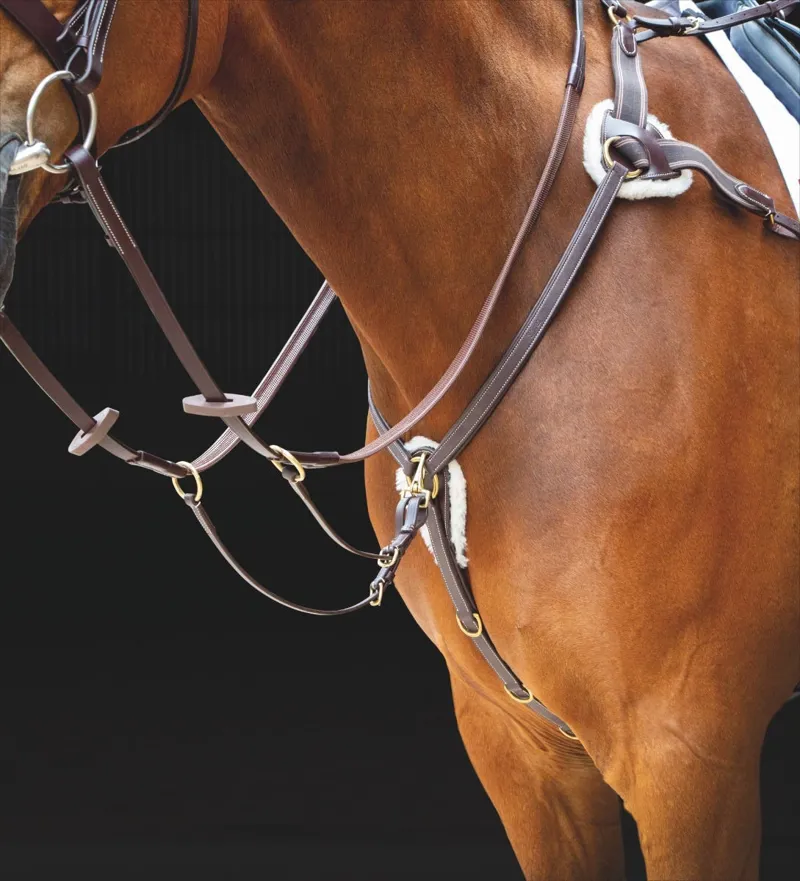 Shires Salisbury Five Point Breastplate - Havana 