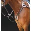 Shires Salisbury Five Point Breastplate - Havana 