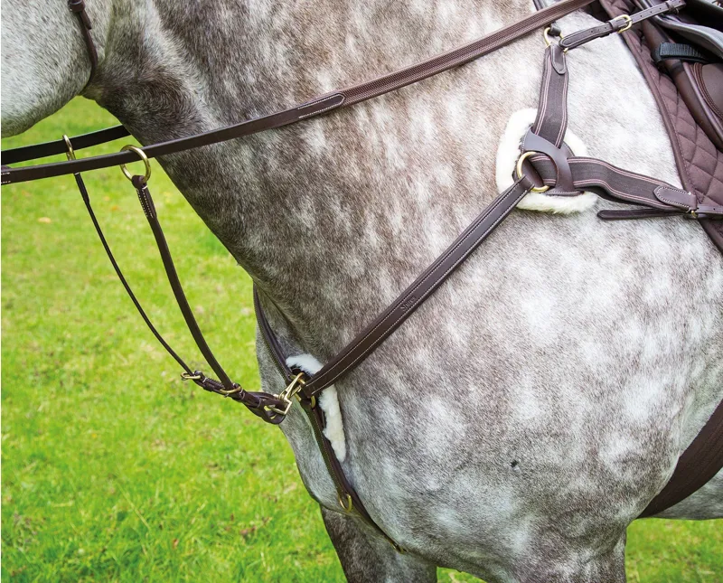 Shires Salisbury Five Point Breastplate - Havana -1