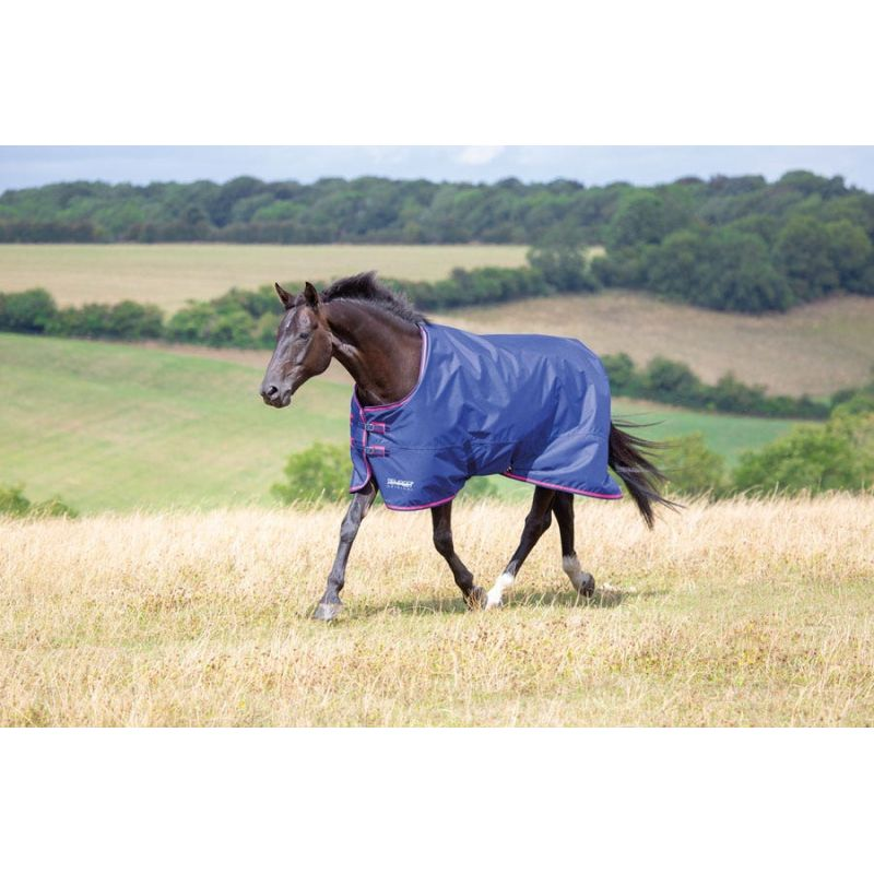 Shires Tempest Original 100G Turnout Rug  - Navy/pink