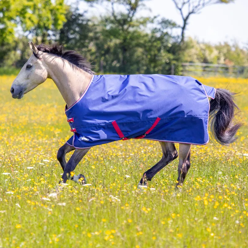 Shires Tempest Original 100g Turnout Rug and Neck - Navy-1