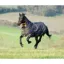 Shires Tempest Original 200 Combo Turnout Rug - Black