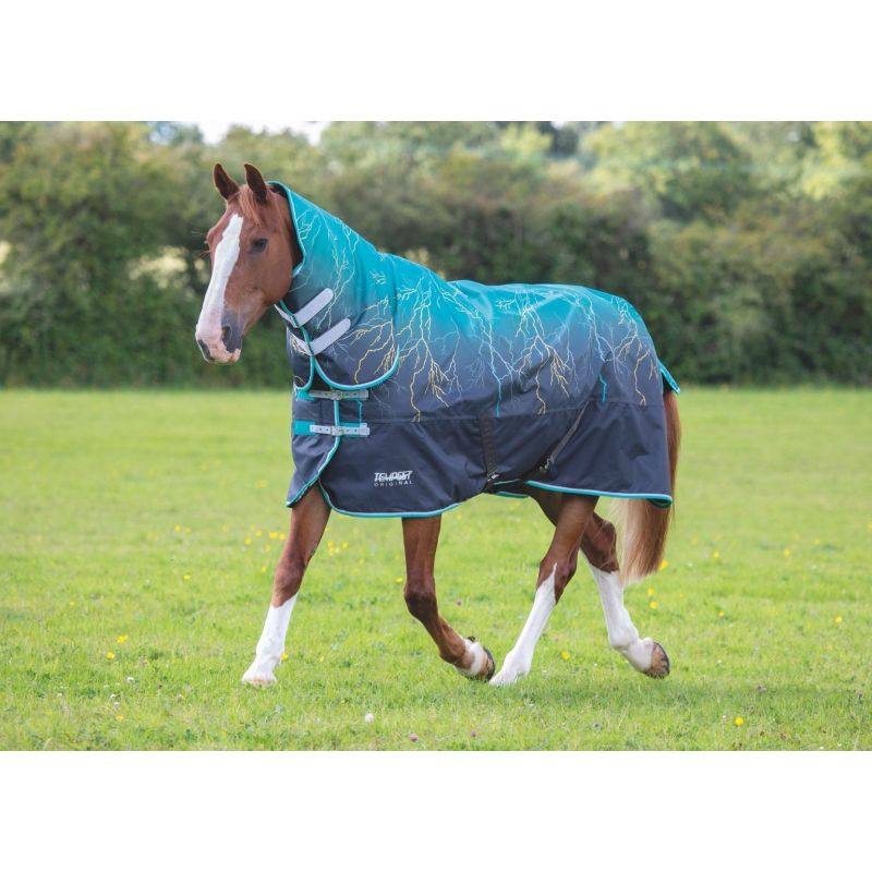 Shires Tempest Original 200 Combo Turnout Rug - Teal Lightening