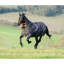Shires Tempest Original 200 Combo Turnout Rug - Black