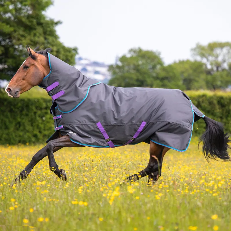 Shires Tempest Original 300 Turnout Rug and Neck Set 300G - Black