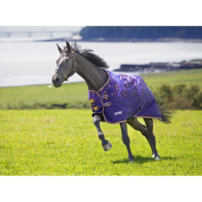 Shires Tempest Original Lite Turnout Rug - Amethyst