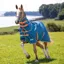 Shires Tempest Original Lite Turnout Rug and Neck Set - Teal