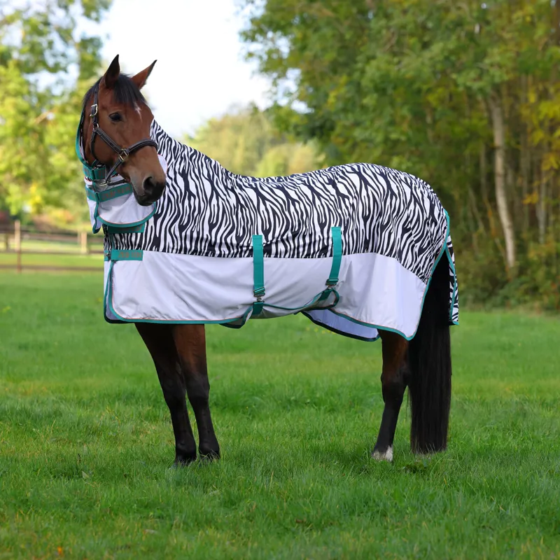 Shires Tempest Original ZEB-TEK Fly Combo Rug - Black-1