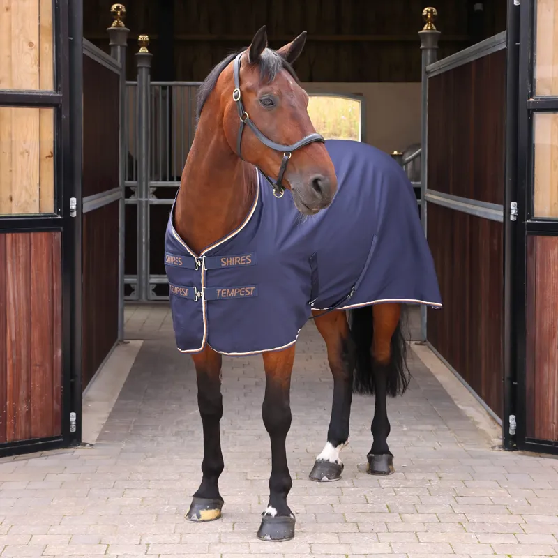 Shires Tempest Stable Sheet 5.9 inch - Navy