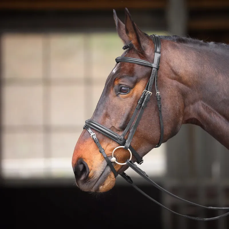 Shires Velociti GARA Comfort Fit Bridle - Black