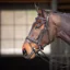 Shires Velociti GARA Comfort Fit Bridle - Black