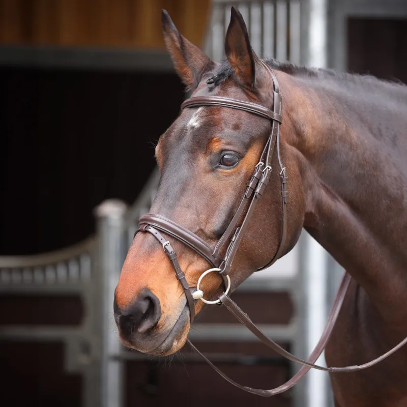 Shires Velociti GARA Comfort Fit Bridle - Havana