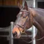Shires Velociti GARA Comfort Fit Bridle - Havana