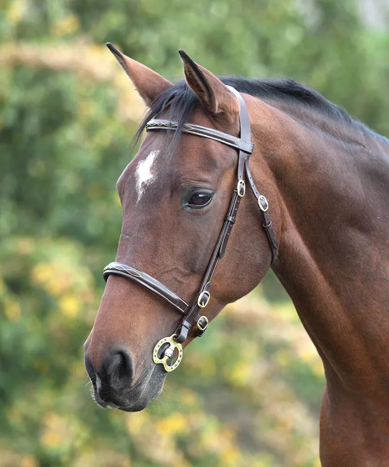 Shires Velociti Gara Fancy Stitched In Hand Bridle - Havana