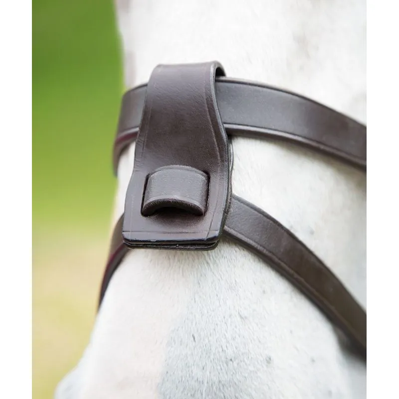 Shires Velociti Gara Flash Attachment - Havana