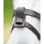 Shires Velociti Gara Flash Attachment - Havana