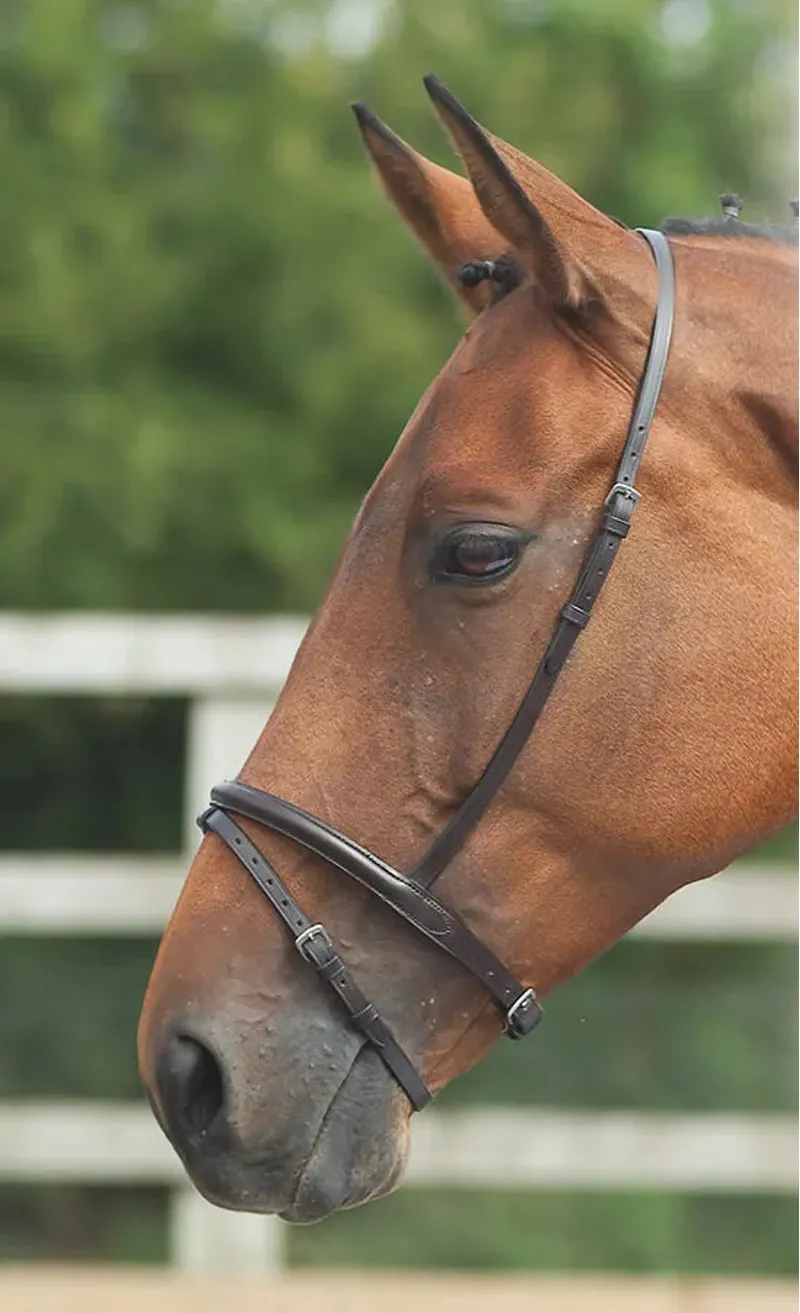 Shires Velociti Gara Flash Noseband - Black