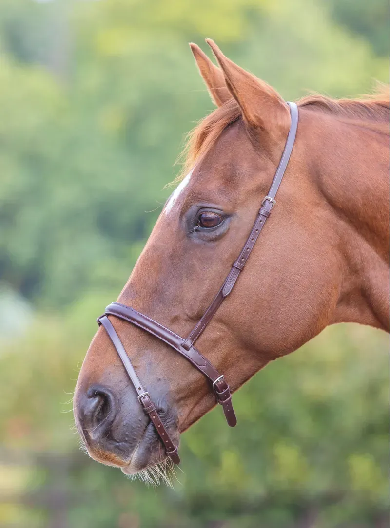Shires Velociti Gara Flash Noseband C - Havana