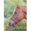 Shires Velociti Gara Flash Noseband C - Havana