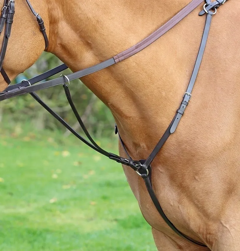Shires Velociti GARA Hunt Weight Breastplate - Havana