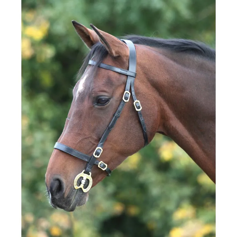 Shires Velociti Gara Plain In Hand Bridle - Black