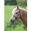 Shires Velociti Gara Plain In Hand Bridle Havana