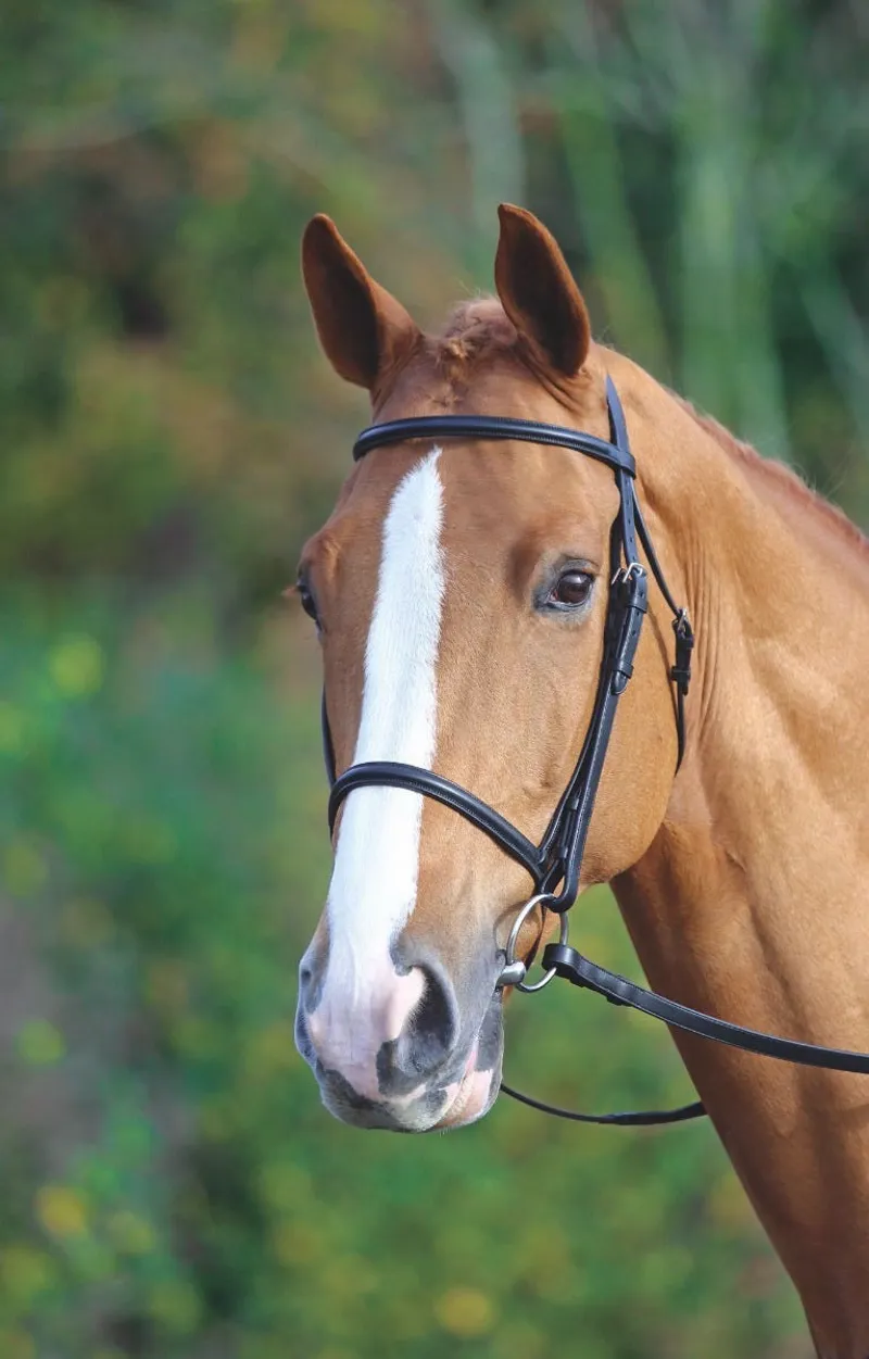 Shires Velociti GARA Raised Cavesson Bridle - Black-1