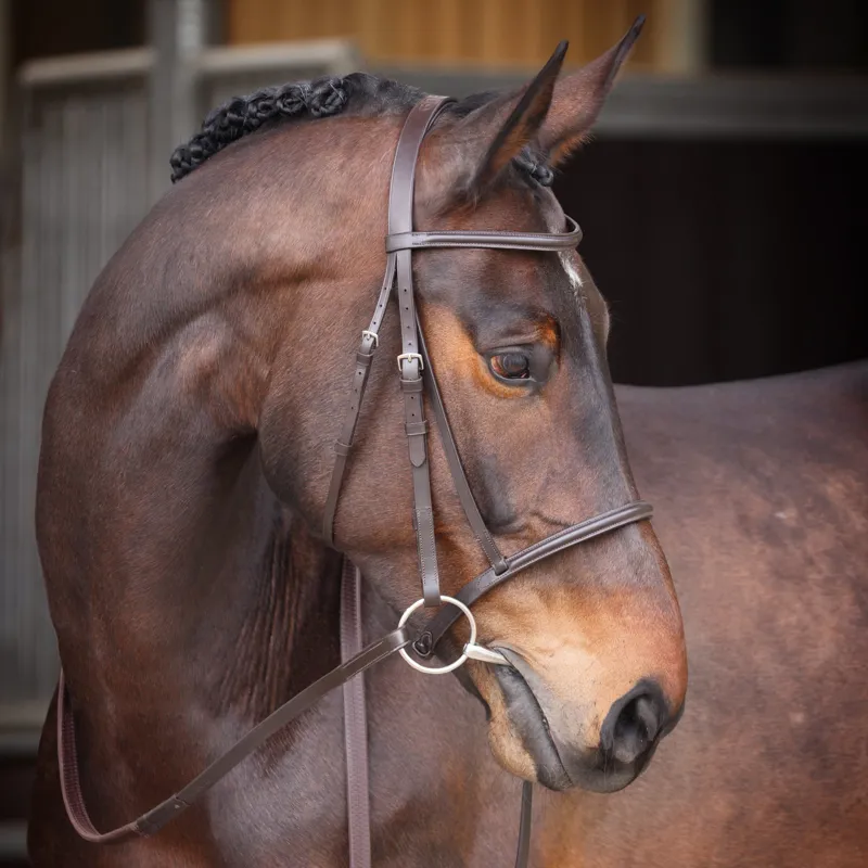 Shires Velociti GARA Raised Cavesson Bridle - Havana