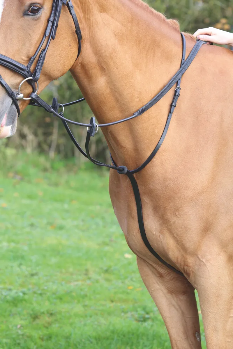Shires Velociti Gara Running Martingale - Black