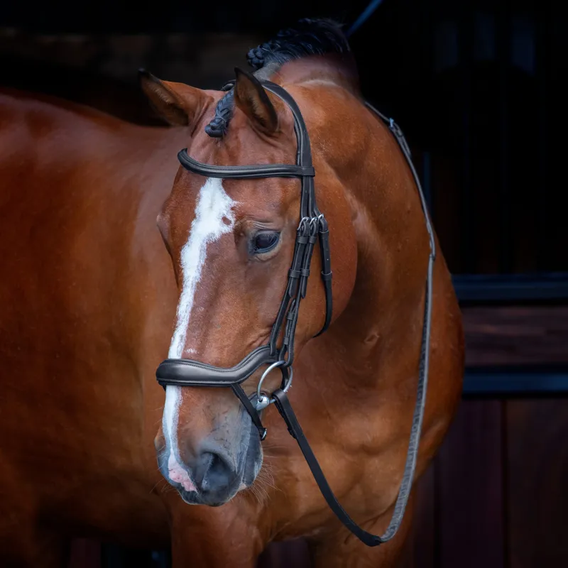 Shires Velociti Rapida Ergonomic Flash Bridle - Black-1