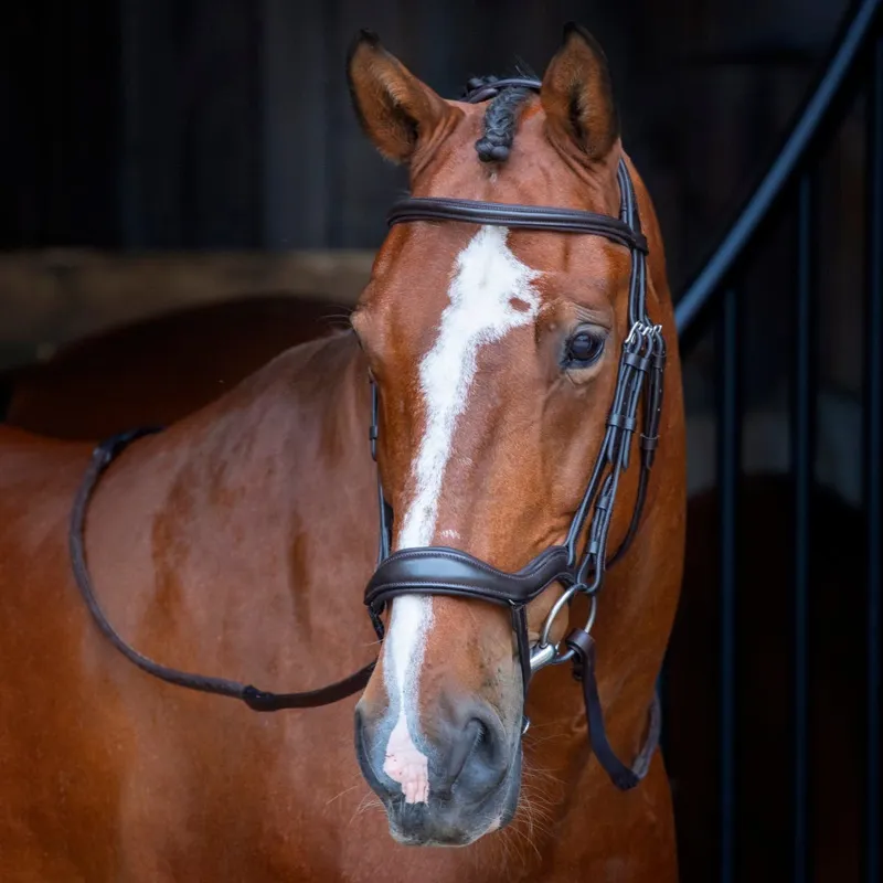 Shires Velociti Rapida Ergonomic Flash Bridle - Havana -1