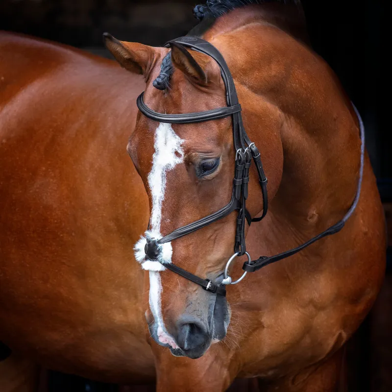 Shires Velociti Rapida Grackle Bridle - Black-1
