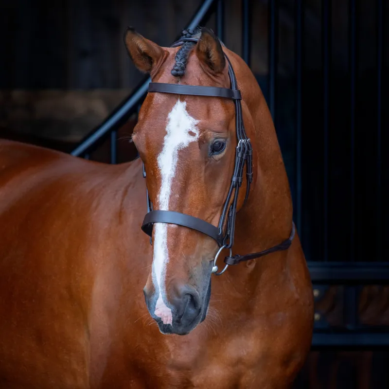 Shires Velociti Rapida Hunter Cavesson Bridle - Havana-1