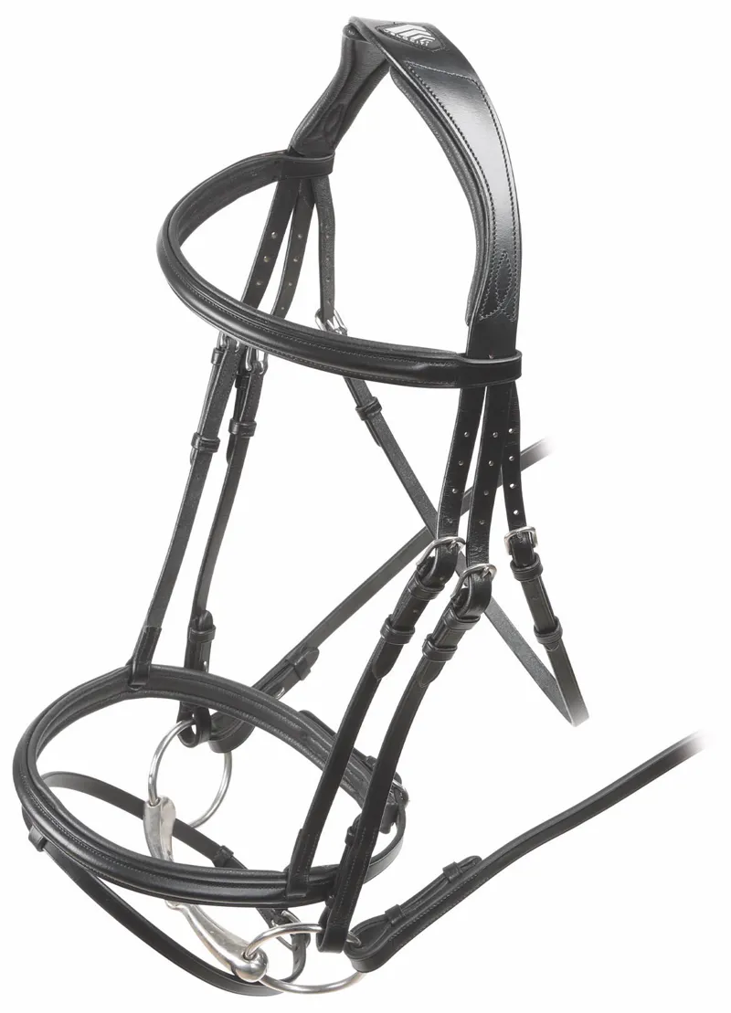 Shires Velociti Rapida Padded Raised Flash Bridle - Black