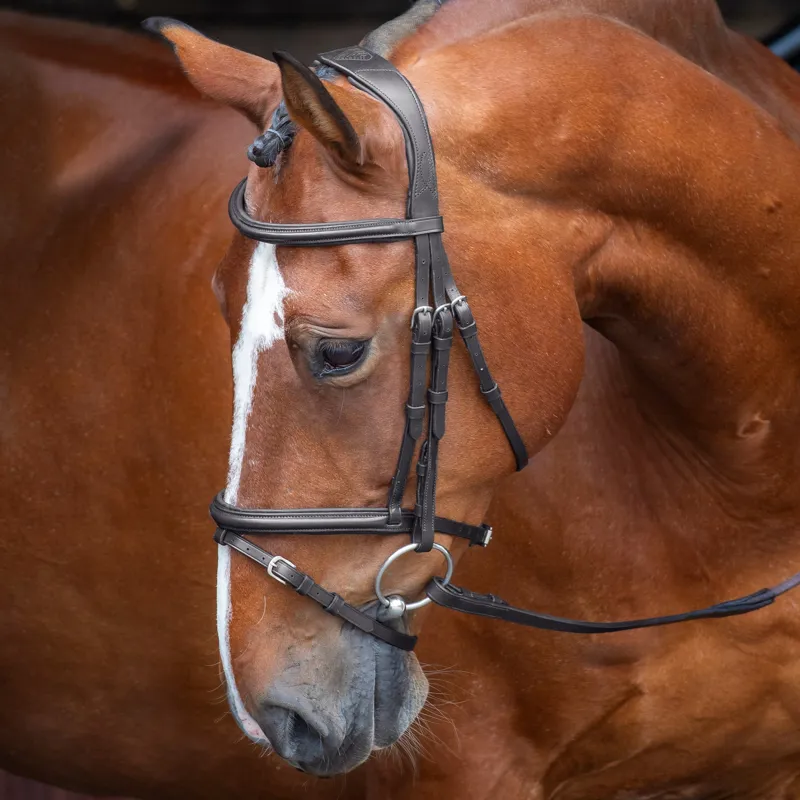 Shires Velociti Rapida Padded Raised Flash Bridle - Black-1