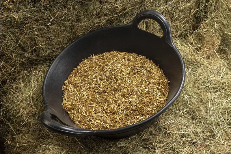 Spillers Conditioning Fibre - 20kg-3