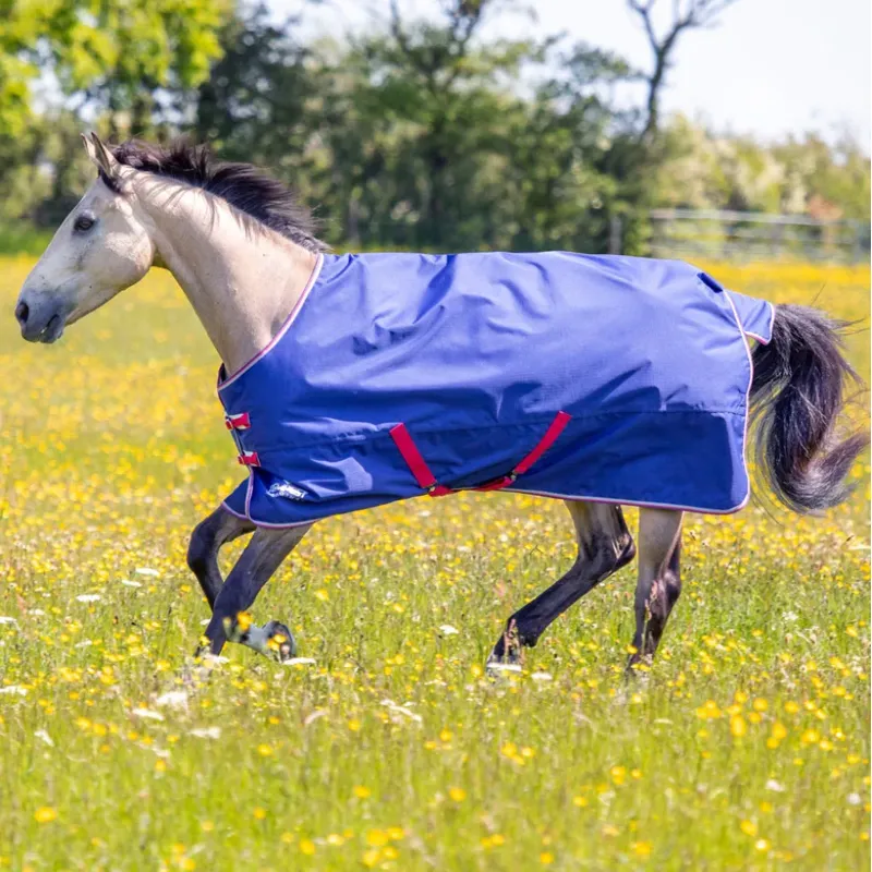 Shires Tempest Original 100g Turnout Rug and Neck - Blue-1